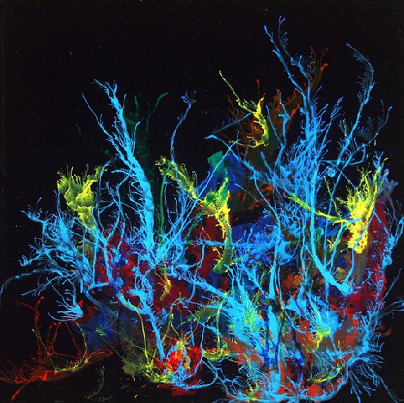 Acrylic on Plexiglas - Entitled: Blue Crown - 24 in. x 24 in.
